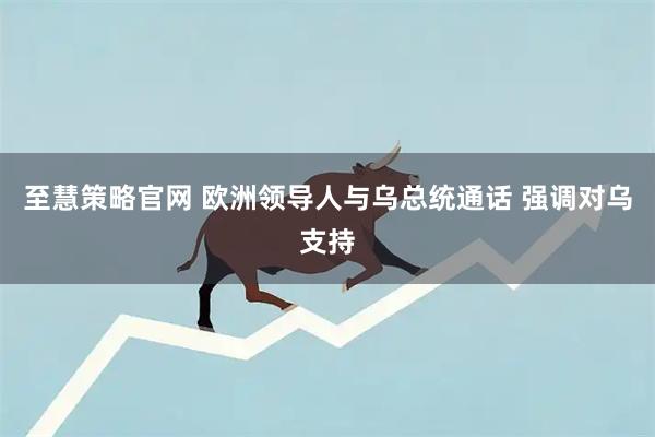 至慧策略官网 欧洲领导人与乌总统通话 强调对乌支持