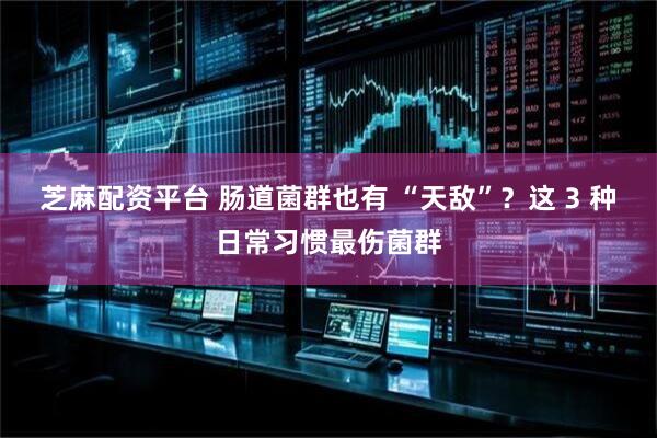 芝麻配资平台 肠道菌群也有 “天敌”？这 3 种日常习惯最伤菌群